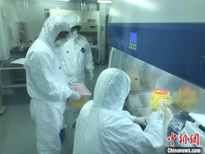 检测人员加班加点完成标本检测工作。东南大学附属中大医院供图 检测人员加班加点完成标本检测工作。东南大学附属中大医院供图