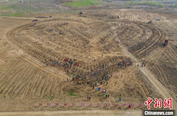 航拍援襄医疗队纪念林建设现场 杨东 摄 航拍援襄医疗队纪念林建设现场 杨东 摄