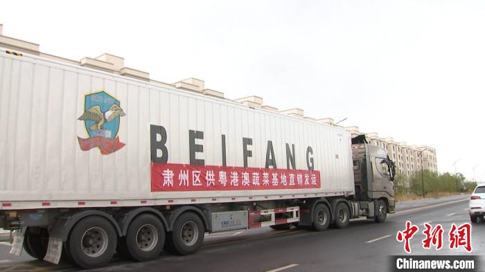 图为酒泉市肃州区供粤港澳蔬菜基地直销物流车。(资料图)酒泉市委宣传部供图 图为酒泉市肃州区供粤港澳蔬菜基地直销物流车。(资料图)酒泉市委宣传部供图
